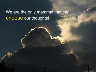 30
We are the only mammal that can
choose our thoughts!
 