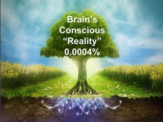 31
Brain’s
Conscious
“Reality”
0.0004%
 