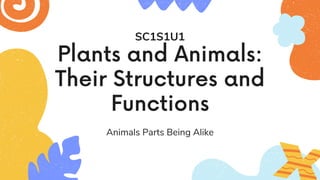 Plants and Animals:
Their Structures and
Functions
Animals Parts Being Alike
SC1S1U1
 