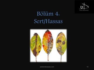 Bölüm 4:
Sert/Hassas
sertamahassas.com 14
 