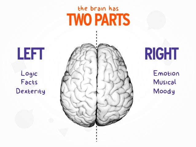 the brain has
TWOPARTS
LEFT RIGHT
Logic Emotion
Musical
Moody
Facts
Dexterity
 
