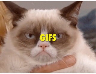 GIFS
 
