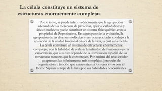 La célula constituye un sistema de
estructuras enormemente complejas
Por lo tanto, se puede inferir teóricamente que la agrupación
adecuada de las moléculas de proteínas, lípidos, carbohidratos y
ácidos nucleicos puede constituir un sistema fisicoquímico con la
propiedad de Reproducirse. En algún paso de la evolución, la
agrupación de las diversas moléculas y estructuras citadas condujo a la
aparición de la unidad funcional básica de la vida, la cual es la Célula.
La célula constituye un sistema de estructuras enormemente
complejas, con la habilidad de realizar la infinidad de funciones que la
caracterizan, que a su vez depende de la distribución espacial de las
estructuras menores que la constituyen. Por encima del nivel celular
ya aparecen las infinitamente más complejas. Jerarquías de
organización y función que caracterizan a los seres vivos con el
Homo Sapiens al tope de la lista por sus habilidades neocorticales.
 