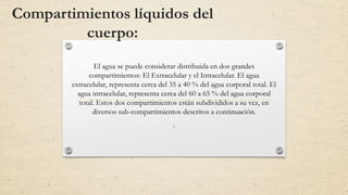 Compartimientos líquidos del
cuerpo:
El agua se puede considerar distribuida en dos grandes
compartimientos: El Extracelular y el Intracelular. El agua
extracelular, representa cerca del 35 a 40 % del agua corporal total. El
agua intracelular, representa cerca del 60 a 65 % del agua corporal
total. Estos dos compartimientos están subdivididos a su vez, en
diversos sub-compartimientos descritos a continuación.
.
 
