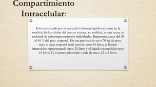 Compartimiento
Intracelular:
Está constituido por la suma del volumen líquido existente en la
totalidad de las células del cuerpo aunque, en realidad, es una suma de
multitud de subcompartimientos individuales. Representa cerca del 30
al 40 % del peso corporal. En una persona de unos 70 kg de peso,
sana, el agua corporal total sería de unos 40 litros, el líquido
intracelular representando unos 25 litros y el líquido extracelular unos
15 litros. El volumen plasmático sería de unos 2,5 a 3 litros.
 