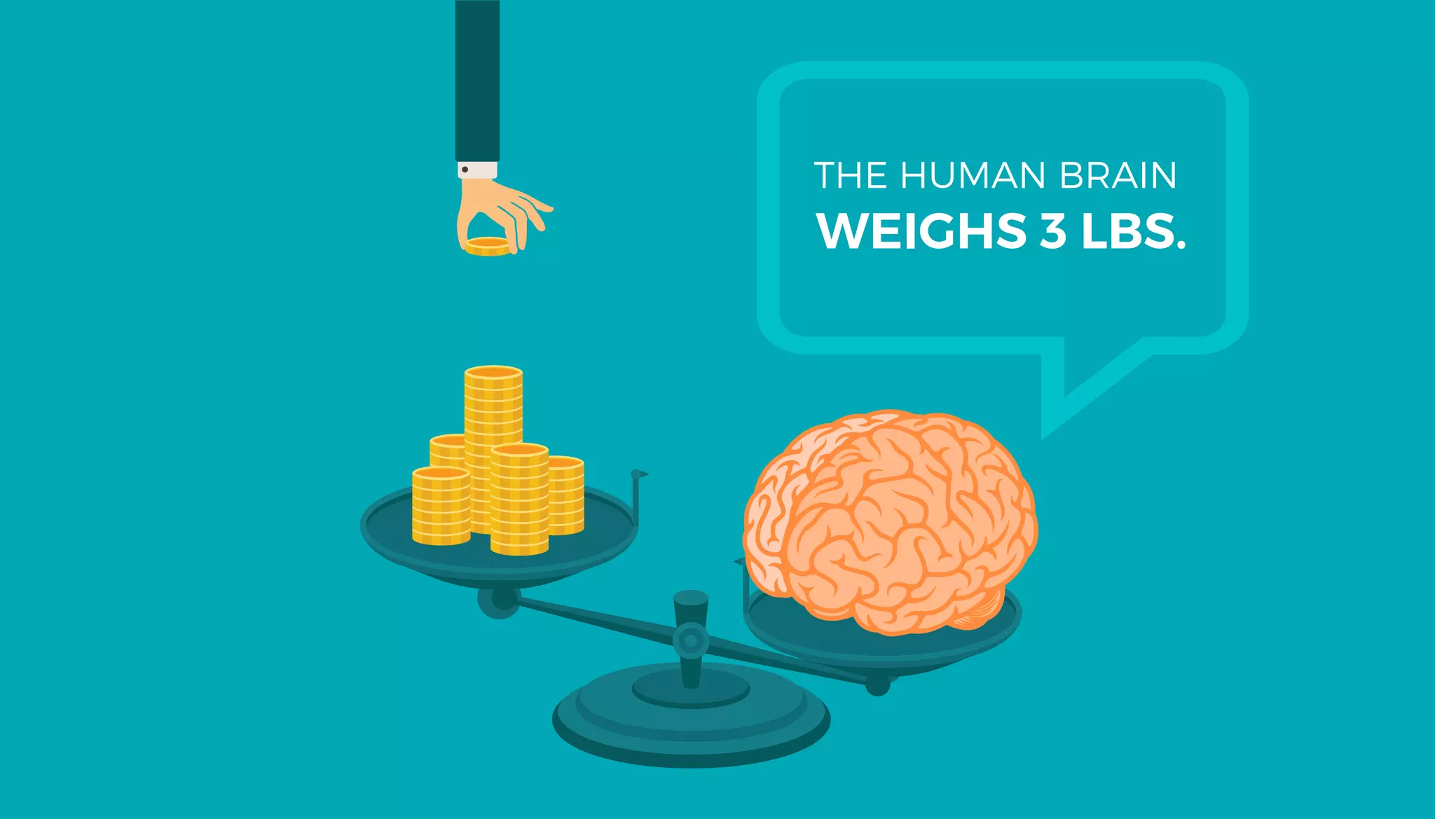 Infographic: 17 Interesting Facts About the Human Brain | PDF