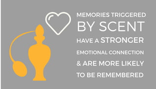 Infographic: 17 Interesting Facts About the Human Brain | PDF