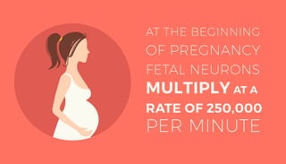 Infographic: 17 Interesting Facts About the Human Brain | PDF