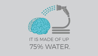Infographic: 17 Interesting Facts About the Human Brain | PDF