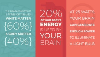 Infographic: 17 Interesting Facts About the Human Brain | PDF