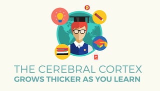 Infographic: 17 Interesting Facts About the Human Brain | PDF