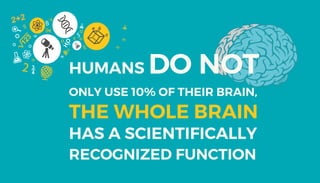 Infographic: 17 Interesting Facts About the Human Brain | PDF
