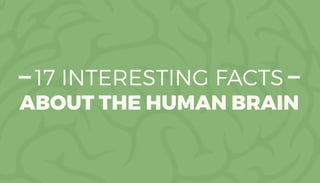 17 INTERESTING FACTS
ABOUT THE HUMAN BRAIN
 