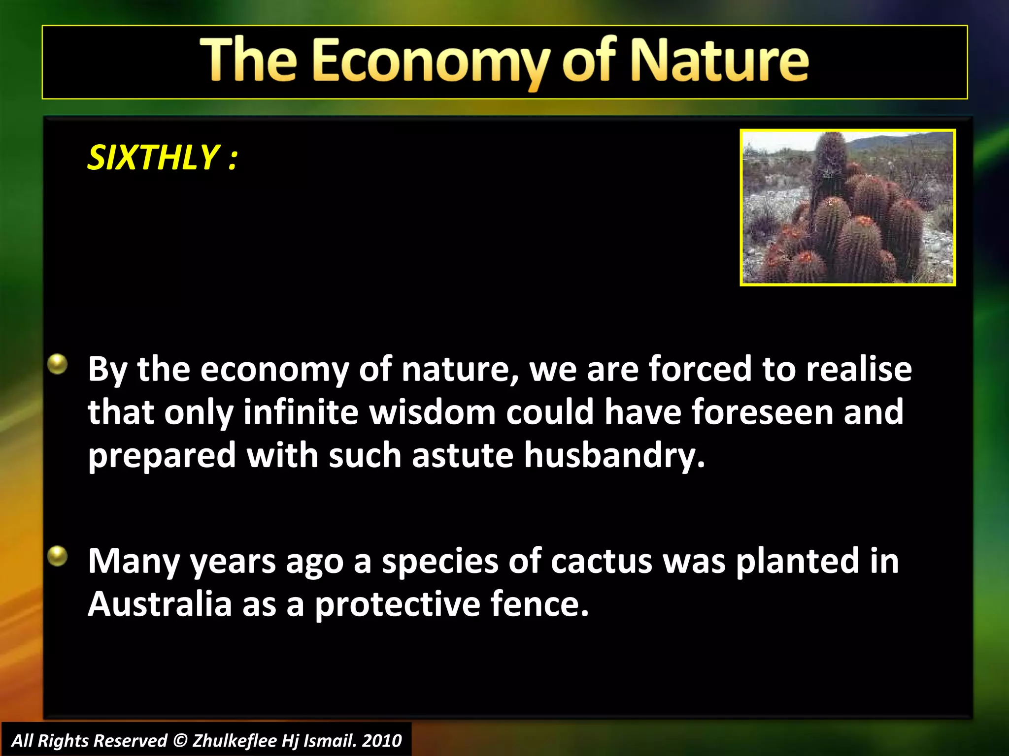SIXTHLY : By the economy of nature, we are forced to realise that only infinite wisdom could have foreseen and prepared with such astute husbandry. Many years ago a species of cactus was planted in Australia as a protective fence.  All Rights Reserved © Zhulkeflee Hj Ismail. 2010 