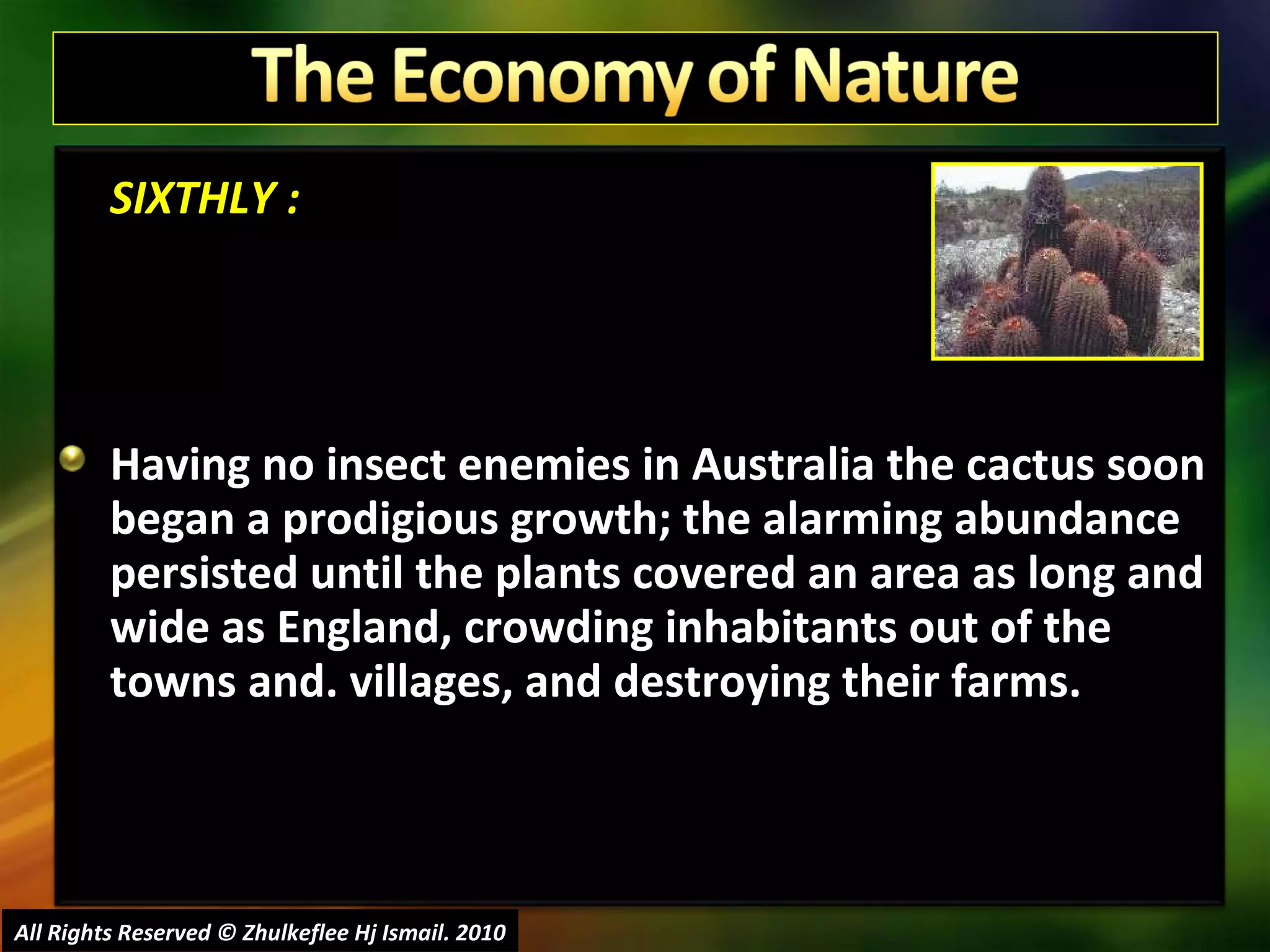 SIXTHLY : Having no insect enemies in Australia the cactus soon began a prodigious growth; the alarming abundance persisted until the plants covered an area as long and wide as England, crowding inhabitants out of the towns and. villages, and destroying their farms.  All Rights Reserved © Zhulkeflee Hj Ismail. 2010 