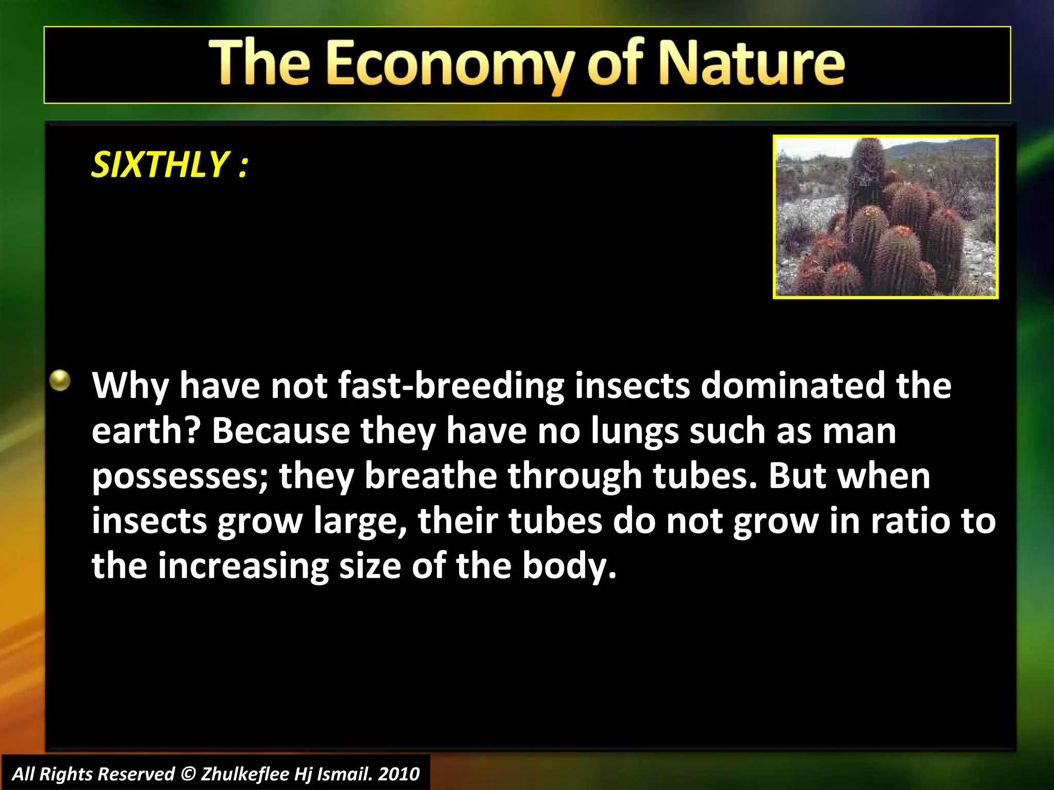 SIXTHLY : Why have not fast-breeding insects dominated the earth? Because they have no lungs such as man possesses; they breathe through tubes. But when insects grow large, their tubes do not grow in ratio to the increasing size of the body.  All Rights Reserved © Zhulkeflee Hj Ismail. 2010 