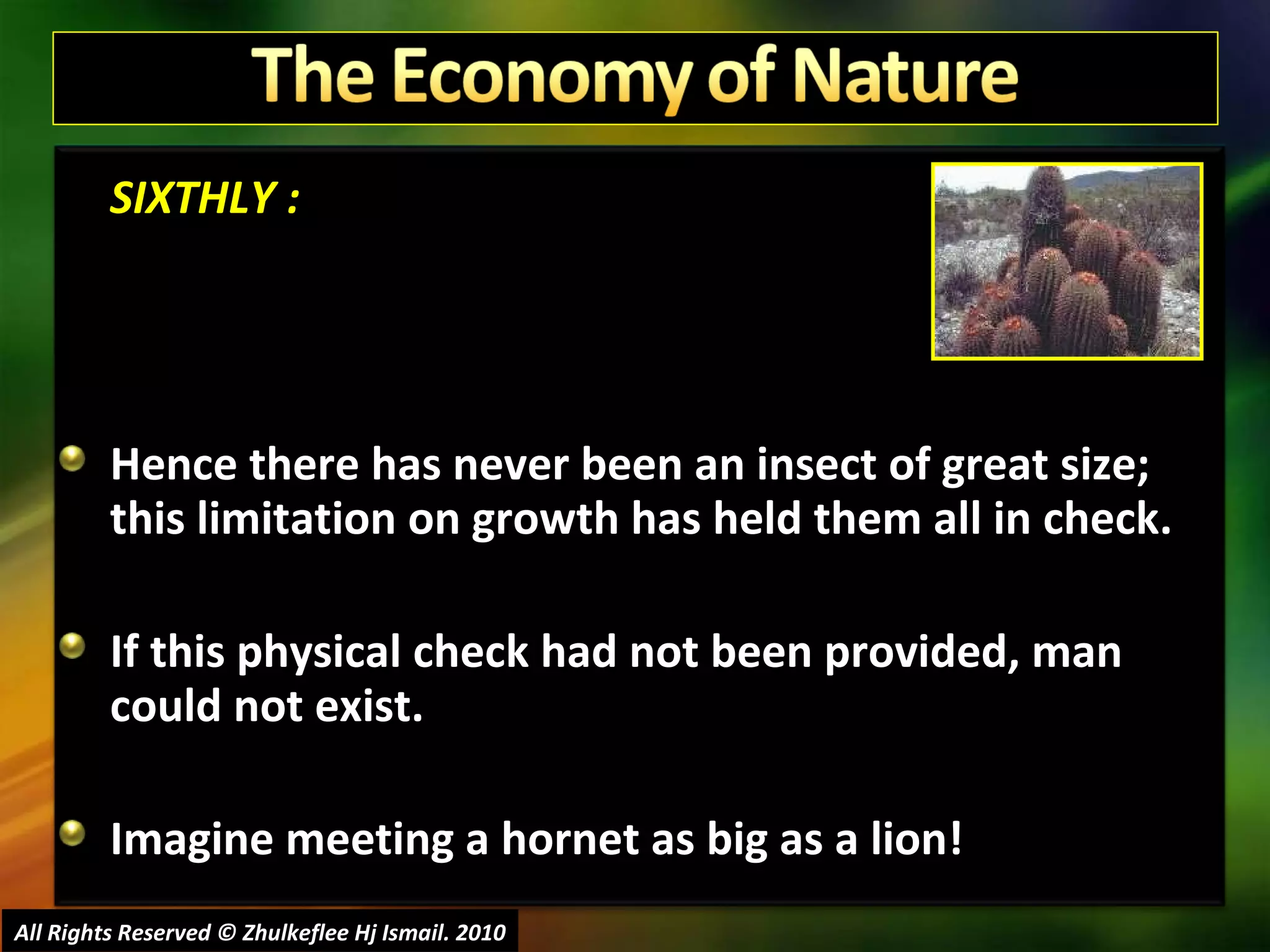 SIXTHLY : Hence there has never been an insect of great size; this limitation on growth has held them all in check. If this physical check had not been provided, man could not exist.  Imagine meeting a hornet as big as a lion! All Rights Reserved © Zhulkeflee Hj Ismail. 2010 