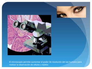 El microscopio permite aumentar el poder de resolución del ojo humano para
realizar la observación de células y tejidos

 