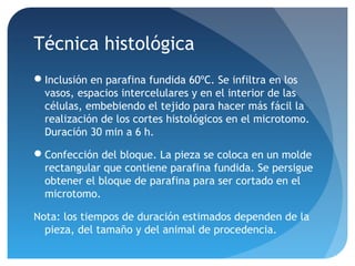 Técnica histológica
Inclusión en parafina fundida 60ºC. Se infiltra en los
vasos, espacios intercelulares y en el interior de las
células, embebiendo el tejido para hacer más fácil la
realización de los cortes histológicos en el microtomo.
Duración 30 min a 6 h.
Confección del bloque. La pieza se coloca en un molde
rectangular que contiene parafina fundida. Se persigue
obtener el bloque de parafina para ser cortado en el
microtomo.
Nota: los tiempos de duración estimados dependen de la
pieza, del tamaño y del animal de procedencia.

 