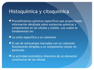Histoquímica y citoquímica
Procedimientos químicos específicos que proporcionan
información detallada sobre sustancias químicas y
componentes en las células y tejidos. Los cuales se
fundamentan en:
La unión específica a un colorante
El uso de anticuerpos marcados con un colorante
fluorescente dirigidos a un componente celular en
particular
La actividad enzimática inherente de un elemento
constitutivo de las células

 