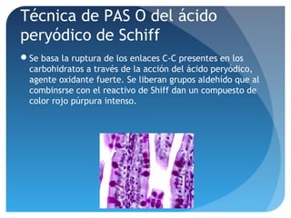Técnica de PAS O del ácido
peryódico de Schiff
Se basa la ruptura de los enlaces C-C presentes en los
carbohidratos a través de la acción del ácido peryódico,
agente oxidante fuerte. Se liberan grupos aldehído que al
combinsrse con el reactivo de Shiff dan un compuesto de
color rojo púrpura intenso.

 