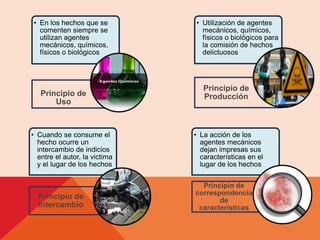 • En los hechos que se 
comenten siempre se 
utilizan agentes 
mecánicos, químicos, 
físicos o biológicos 
Principio de 
Uso 
• La acción de los 
agentes mecánicos 
dejan impresas sus 
características en el 
lugar de los hechos 
Principio de 
correspondencia 
de 
características 
• Cuando se consume el 
hecho ocurre un 
intercambio de indicios 
entre el autor, la victima 
y el lugar de los hechos 
Principio de 
Intercambio 
• Utilización de agentes 
mecánicos, químicos, 
físicos o biológicos para 
la comisión de hechos 
delictuosos 
Principio de 
Producción 
 