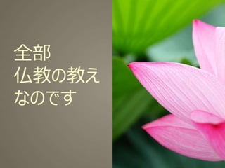 2֤Ǥ狼롣hasunoha󥻥ץY 󻭕