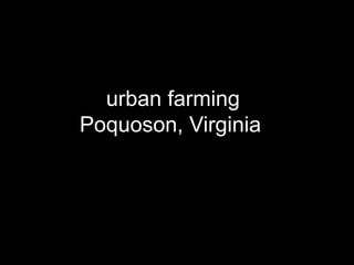 urban farming	Poquoson, Virginia	 