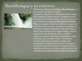 Rumibosque y su entorno El Proyecto Reserva Ecológica Rumibosque, es un ecosistema dotado de vida y naturaleza, ubicado a 20 kilómetros al sur oriente de la ciudad de Quito camino a Sangolquí por la autopista General Rumiñahui. Se encuentra en lo que constituye la Cuenca Hidrográfica del Río Pita en un parque lineal de 10 kilómetros que van desde los 2.600 m.s.n.m., en el sector predomina el bosque montano húmedo acompañado flora y fauna características de la región andina. Entre la vegetación y los árboles de cedro, cedrillo y arrayanes es usual encontrar curiquingues, patos silvestres, aves, zorrillos, lobos, cervicabras y muchas especies de animales y plantas que encontraron el hábitat ideal en esta zona que se convirtió en terreno fértil por los agentes físicos y biológicos dados por la última erupción (1877) del volcán activo más alto del mundo El Cotopaxi.