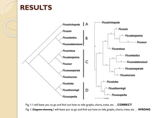 RESULTS
Fig. 1: I will leave you to go and find out how to title graphs, charts, trees, etc …CORRECT
Fig. 1: Diagram showing I will leave you to go and find out how to title graphs, charts, trees, etc …WRONG
A
B
C
D
 