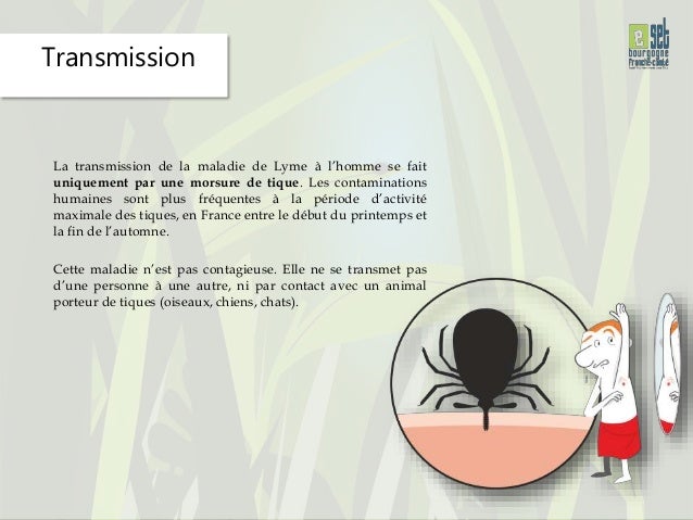 La Maladie De Lyme La Maladie De Lyme