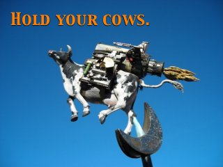 Hold your cows.

 