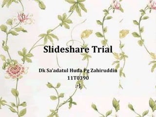 Slideshare Trial

Dk Sa’adatul Huda Pg Zahiruddin
           11T0390
               ;-)
 