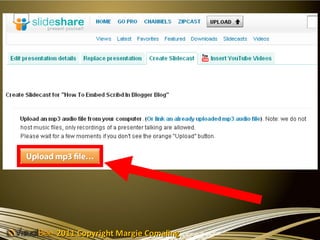 2011 Copyright Margie Comaling
 