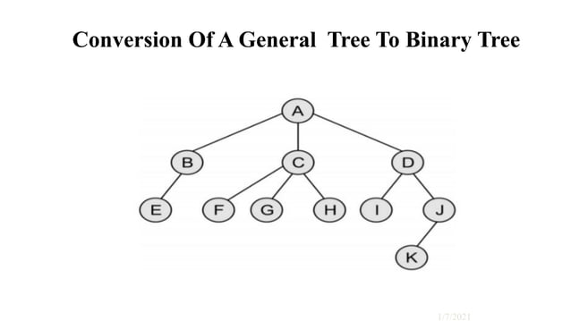 Introduction to Binary Tree and Conersion of General tree to Binary ...