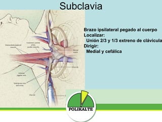 Subclavia Brazo ipsilateral pegado al cuerpo Localizar:  Unión 2/3 y 1/3 extreno de clávicula Dirigir:  Medial y cefálica 