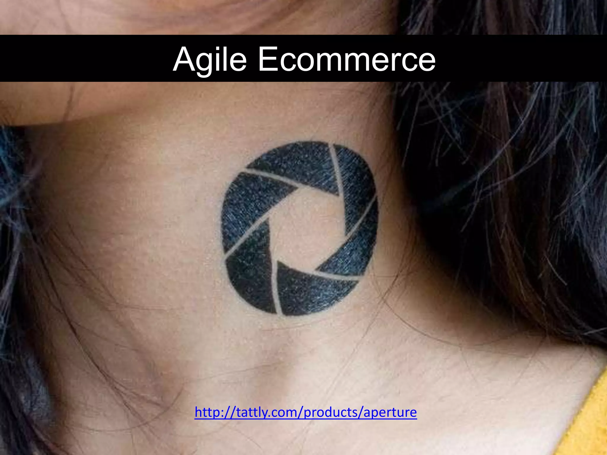Agile Ecommerce




 http://tattly.com/products/aperture
 