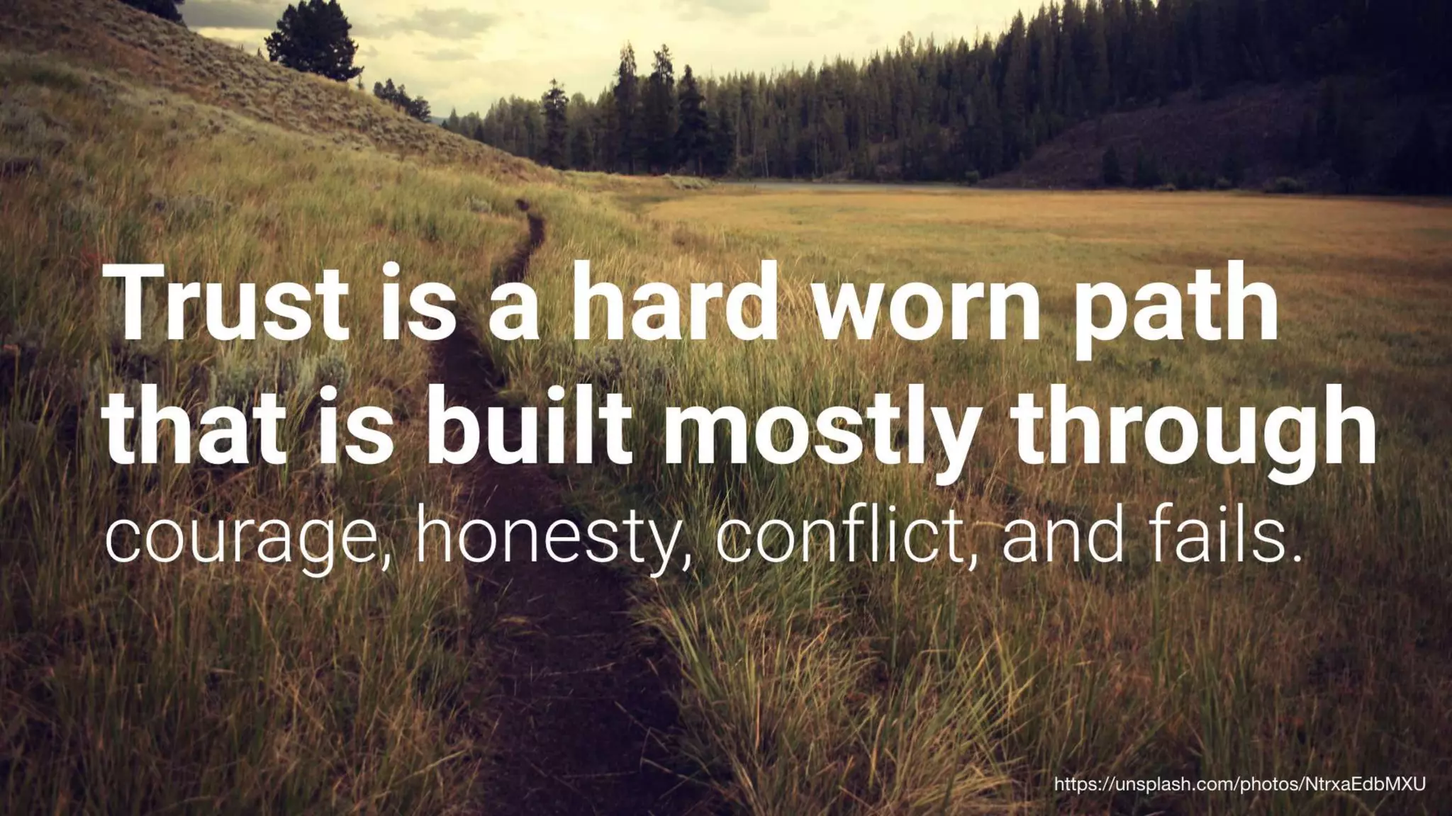 Building High Performing, Self-Managed Teams