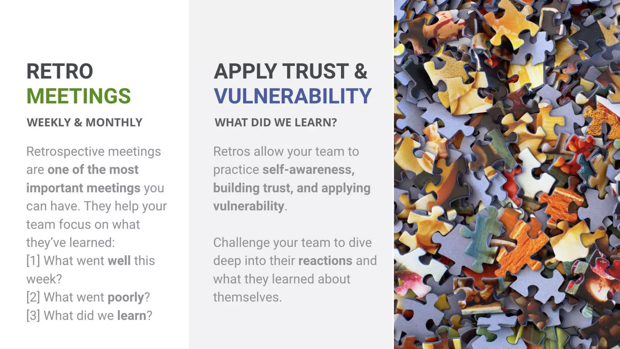 Building High Performing, Self-Managed Teams