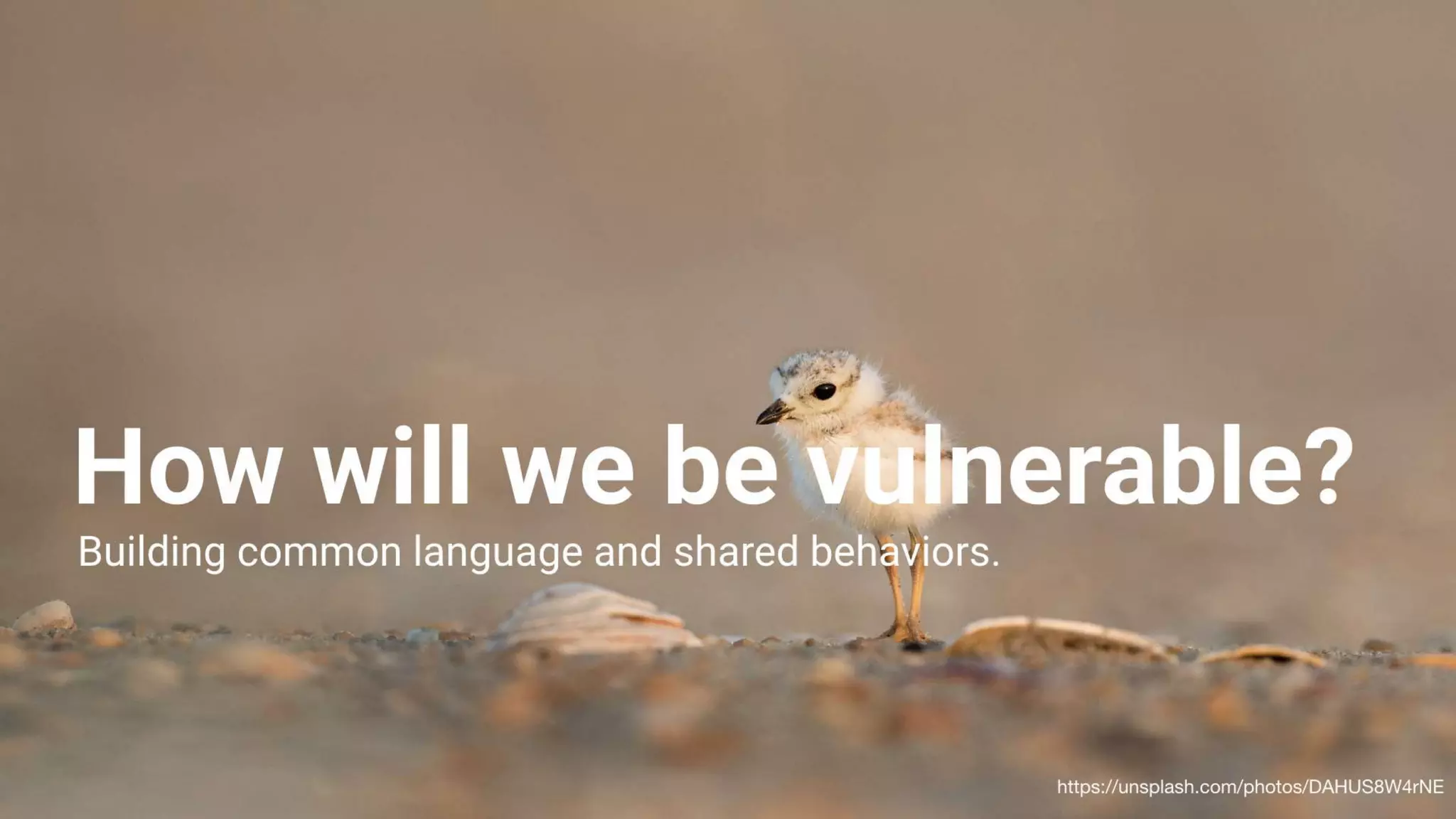 Building High Performing, Self-Managed Teams