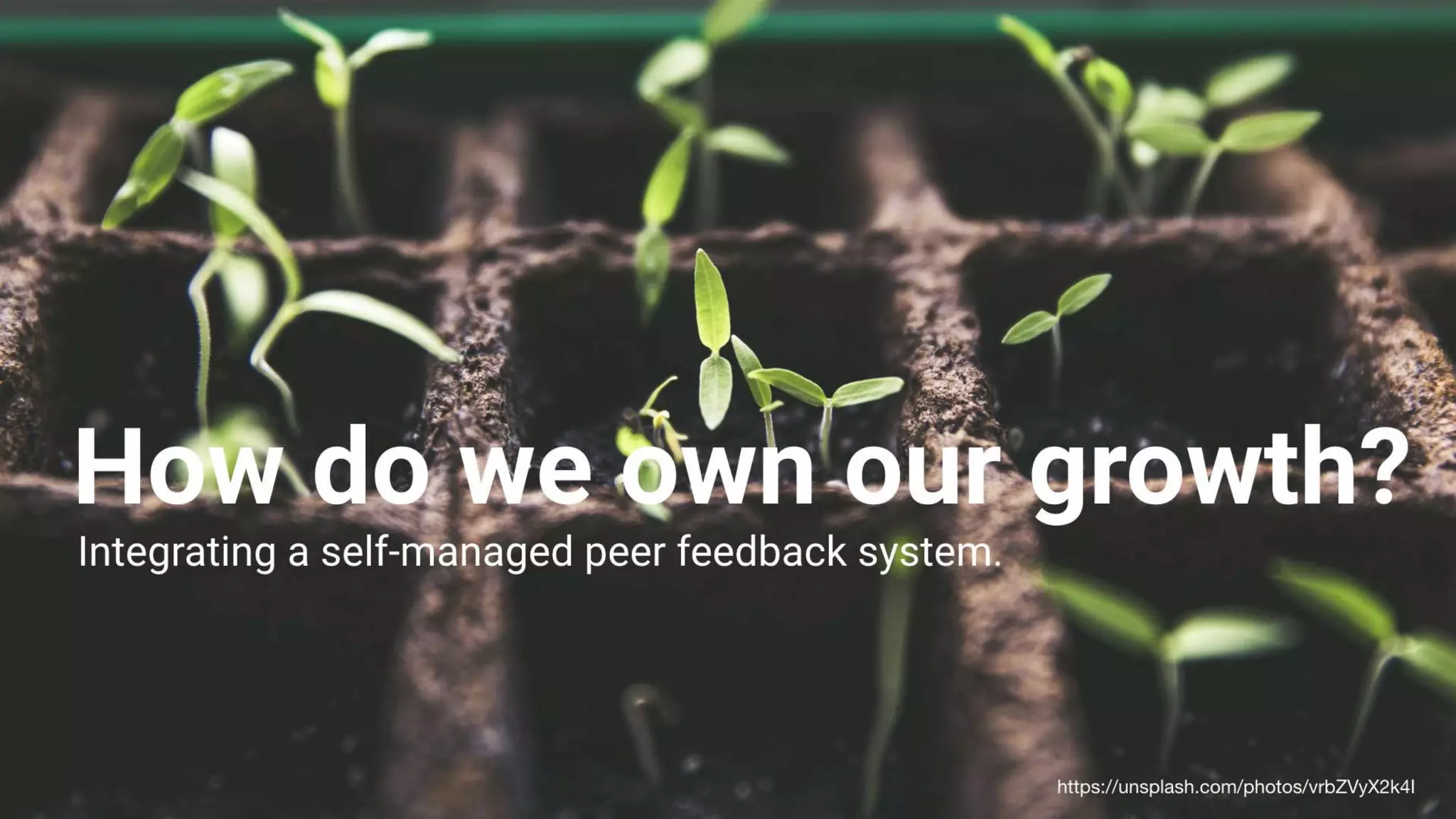 Building High Performing, Self-Managed Teams