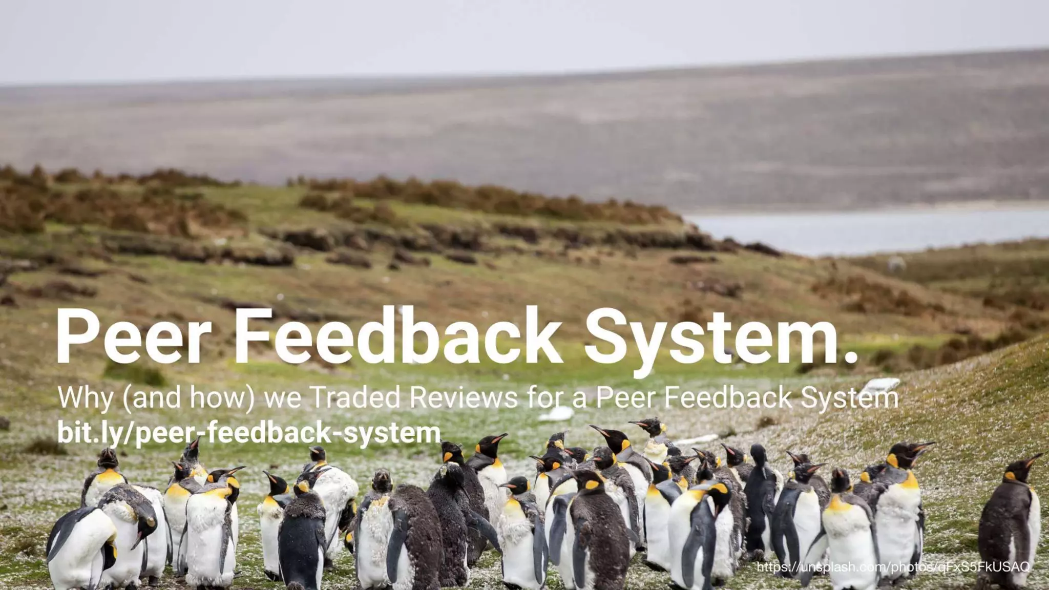 Building High Performing, Self-Managed Teams