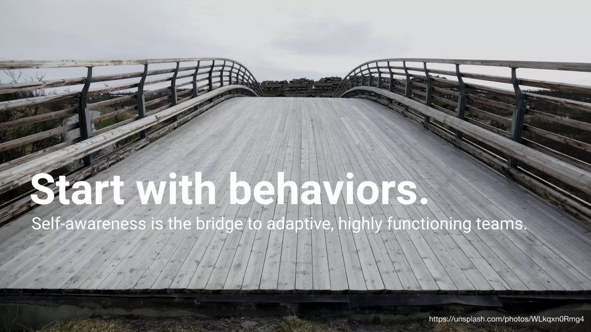 Building High Performing, Self-Managed Teams