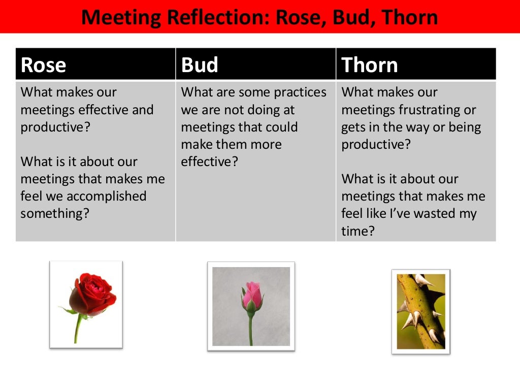 Rose Bud Thorn Format