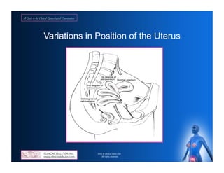 A Guide to the Clinical Gynecological Exam as Instructed by a Female ...