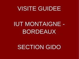 VISITE GUIDEE

IUT MONTAIGNE -
   BORDEAUX

 SECTION GIDO
 