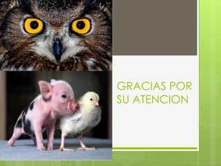 GRACIAS POR SU ATENCION