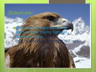 Slideshare:Es un tipo de lugar donde se permite subir ciertos tipos de formatos como : PDF. ODT, FORMATOS POWERPOINT, etc. 