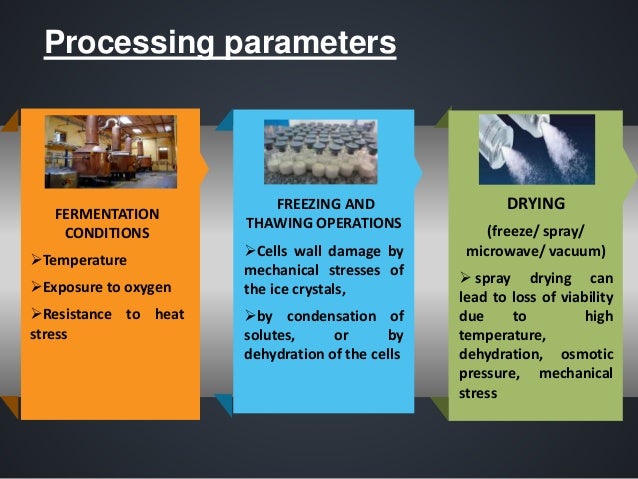 survival of probiotics effect of processing and storage conditions drug storage condition flyers