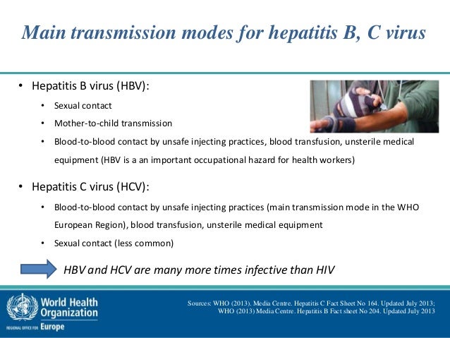 viral hepatitis hepatitis b information sheet